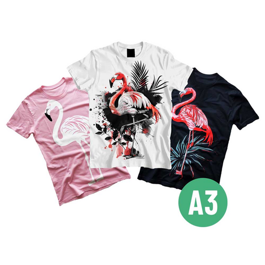 DTF Starterbundle